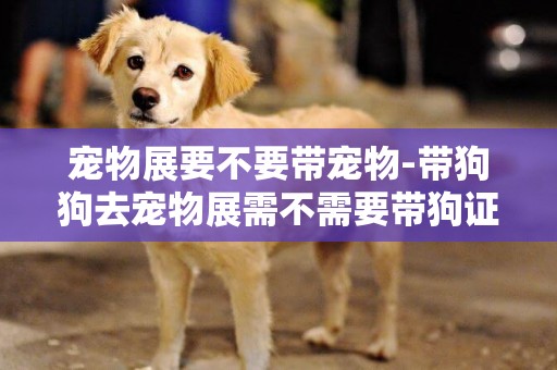 寵物展要不要帶寵物-帶狗狗去寵物展需不需要帶狗證