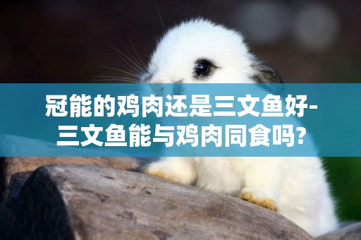 冠能的雞肉還是三文魚好-三文魚能與雞肉同食嗎?