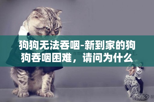 狗狗無法吞咽-新到家的狗狗吞咽困難，請問為什么