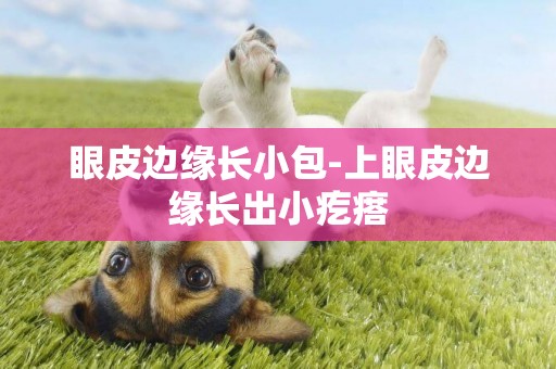 眼皮邊緣長小包-上眼皮邊緣長出小疙瘩