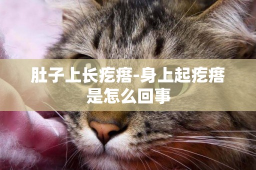 肚子上長疙瘩-身上起疙瘩是怎么回事