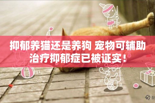 抑郁養貓還是養狗 寵物可輔助治療抑郁癥已被證實！