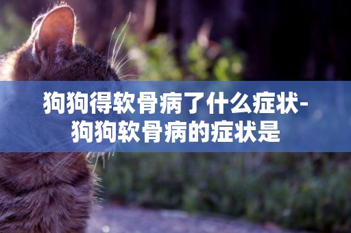 狗狗得軟骨病了什么癥狀-狗狗軟骨病的癥狀是