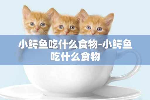 小鱷魚吃什么食物-小鱷魚吃什么食物
