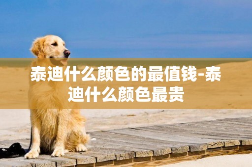 泰迪什么顏色的最值錢-泰迪什么顏色最貴