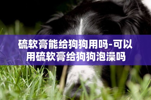 硫軟膏能給狗狗用嗎-可以用硫軟膏給狗狗泡澡嗎
