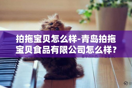 拍拖寶貝怎么樣-青島拍拖寶貝食品有限公司怎么樣？