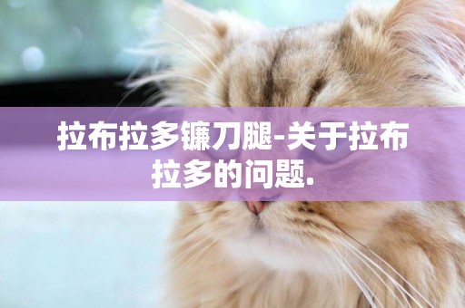 拉布拉多鐮刀腿-關于拉布拉多的問題.