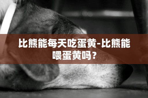 比熊能每天吃蛋黃-比熊能喂蛋黃嗎？