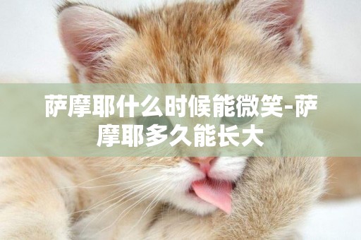 薩摩耶什么時候能微笑-薩摩耶多久能長大