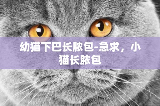 幼貓下巴長膿包-急求，小貓長膿包