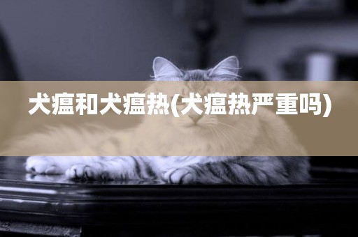 犬瘟和犬瘟熱(犬瘟熱嚴重嗎) 