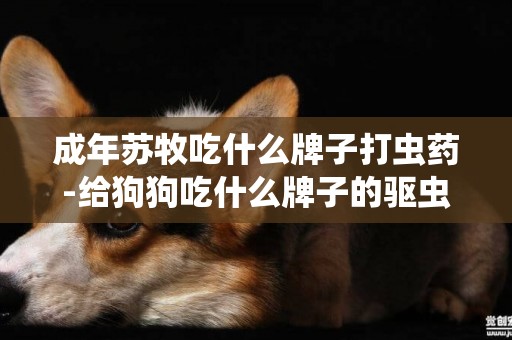 成年蘇牧吃什么牌子打蟲藥-給狗狗吃什么牌子的驅蟲藥好啊？
