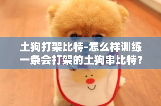 土狗打架比特-怎么樣訓練一條會打架的土狗串比特？