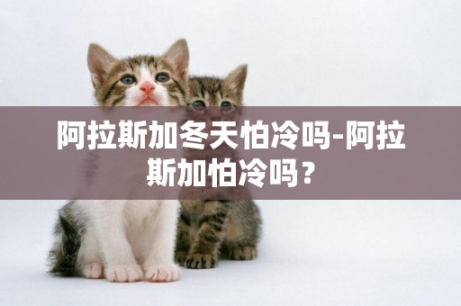 阿拉斯加冬天怕冷嗎-阿拉斯加怕冷嗎？