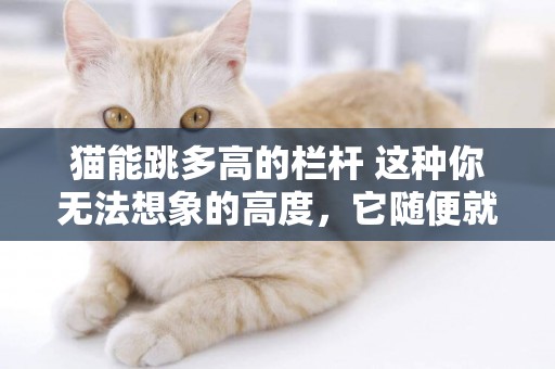 貓能跳多高的欄桿 這種你無法想象的高度，它隨便就可以的