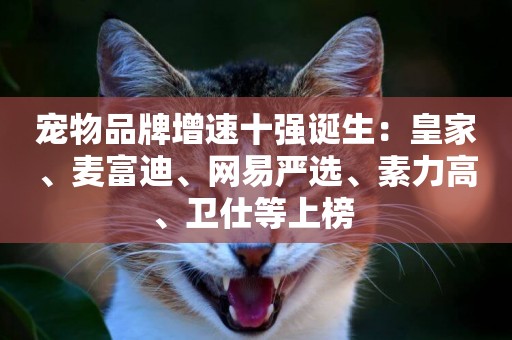 寵物品牌增速十強誕生：皇家、麥富迪、網易嚴選、素力高、衛仕等上榜 