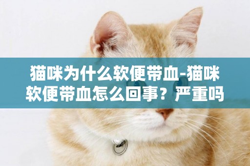 貓咪為什么軟便帶血-貓咪軟便帶血怎么回事？嚴重嗎？