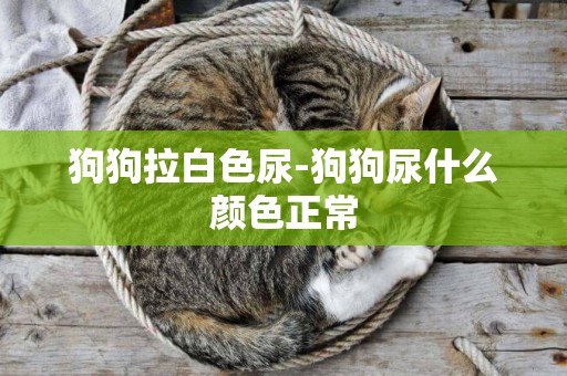狗狗拉白色尿-狗狗尿什么顏色正常