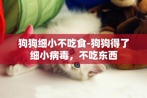 狗狗細小不吃食-狗狗得了細小病毒，不吃東西