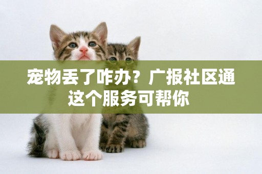寵物丟了咋辦？廣報社區通這個服務可幫你 