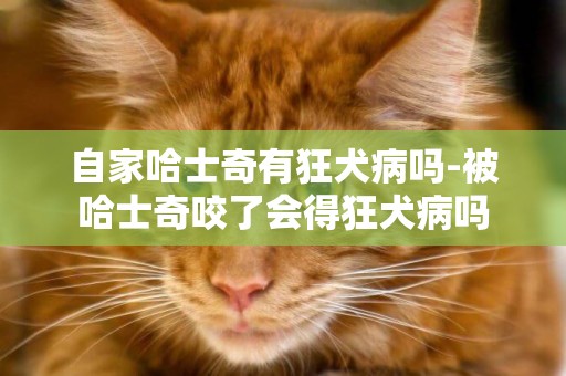 自家哈士奇有狂犬病嗎-被哈士奇咬了會得狂犬病嗎