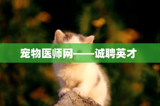 寵物醫師網——誠聘英才 
