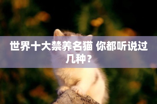 世界十大禁養名貓 你都聽說過幾種？