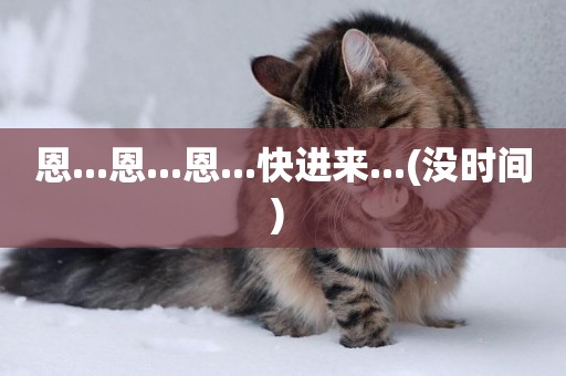 恩...恩...恩...快進來...(沒時間) 