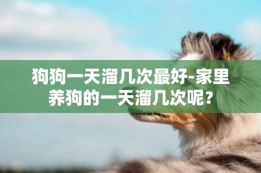 狗狗一天溜幾次最好-家里養狗的一天溜幾次呢？