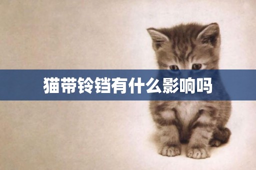 貓帶鈴鐺有什么影響嗎