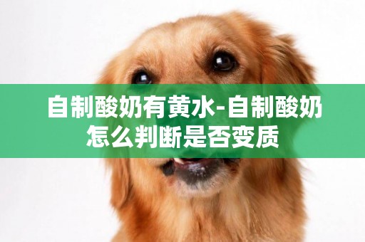 自制酸奶有黃水-自制酸奶怎么判斷是否變質