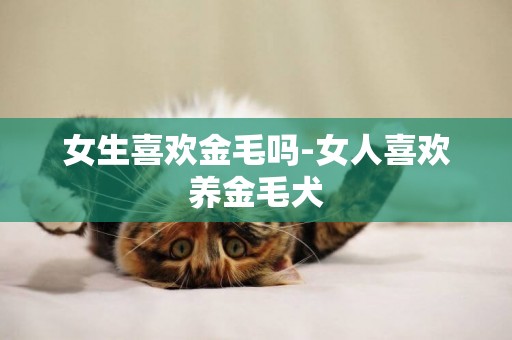 女生喜歡金毛嗎-女人喜歡養金毛犬
