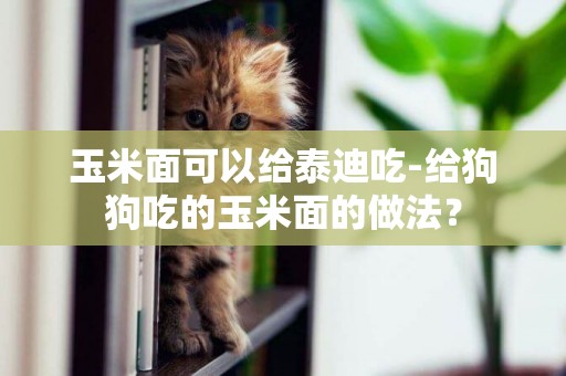 玉米面可以給泰迪吃-給狗狗吃的玉米面的做法？