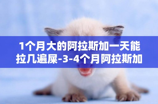 1個月大的阿拉斯加一天能拉幾遍屎-3-4個月阿拉斯加犬一天拉幾次大便算正常