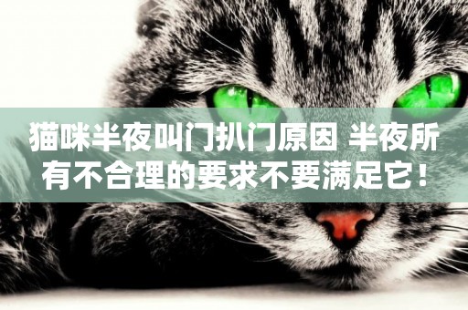 貓咪半夜叫門扒門原因 半夜所有不合理的要求不要滿足它! 貓咪半夜叫門扒門原因 半夜所有不合理的要求不要滿足它!