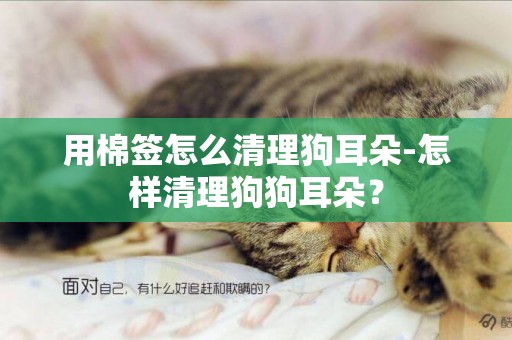 用棉簽怎么清理狗耳朵-怎樣清理狗狗耳朵？