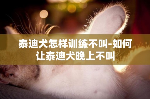 泰迪犬怎樣訓練不叫-如何讓泰迪犬晚上不叫