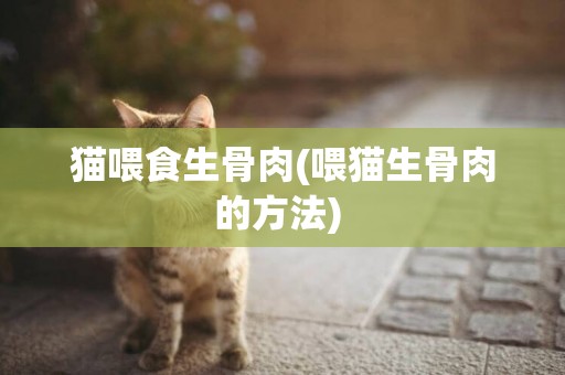 貓喂食生骨肉(喂貓生骨肉的方法) 