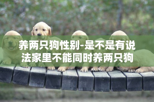 養兩只狗性別-是不是有說法家里不能同時養兩只狗