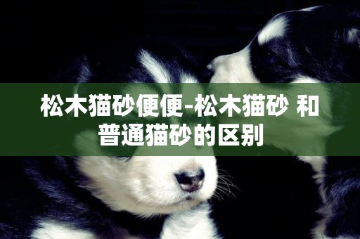 松木貓砂便便-松木貓砂 和普通貓砂的區別