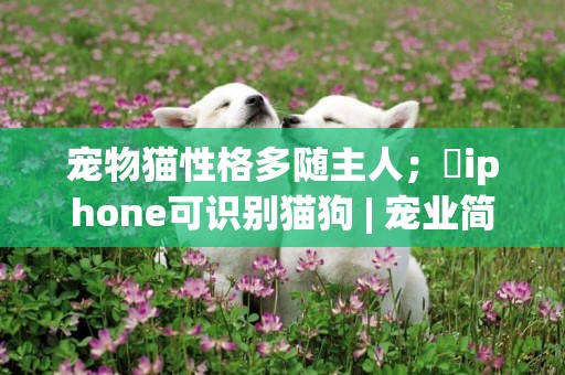 寵物貓性格多隨主人；?iphone可識別貓狗 | 寵業簡報 