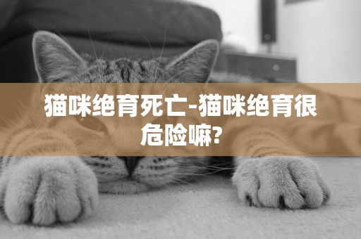 貓咪絕育死亡-貓咪絕育很危險嘛?