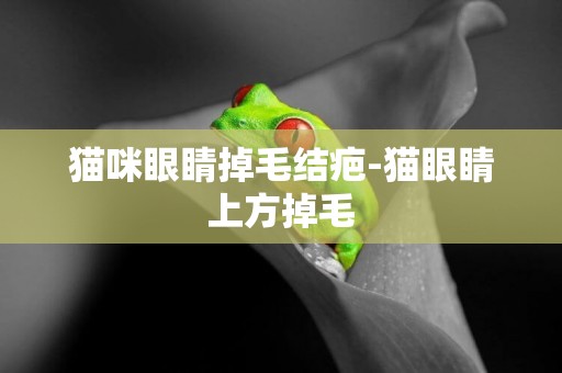 貓咪眼睛掉毛結疤-貓眼睛上方掉毛
