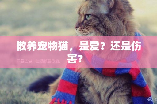 散養寵物貓，是愛？還是傷害？ 
