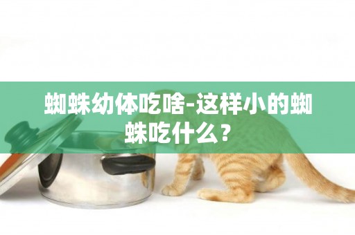 蜘蛛幼體吃啥-這樣小的蜘蛛吃什么？