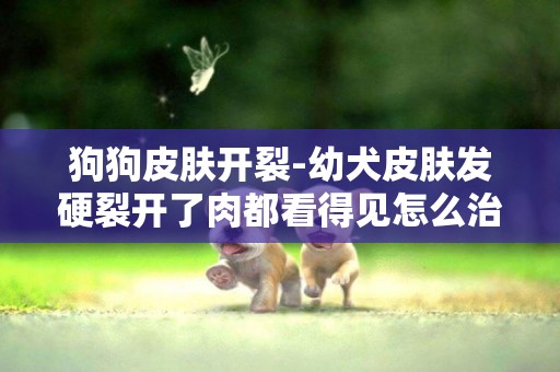 狗狗皮膚開裂-幼犬皮膚發硬裂開了肉都看得見怎么治療？
