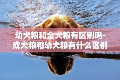 幼犬糧和全犬糧有區別嗎-成犬糧和幼犬糧有什么區別嗎