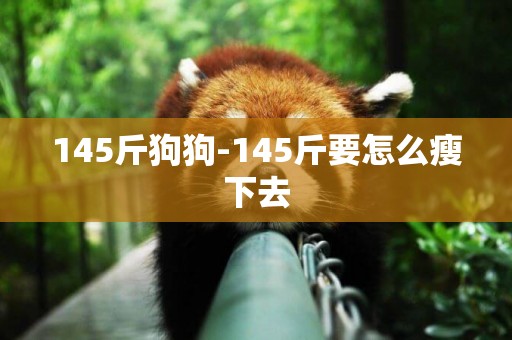 145斤狗狗-145斤要怎么瘦下去