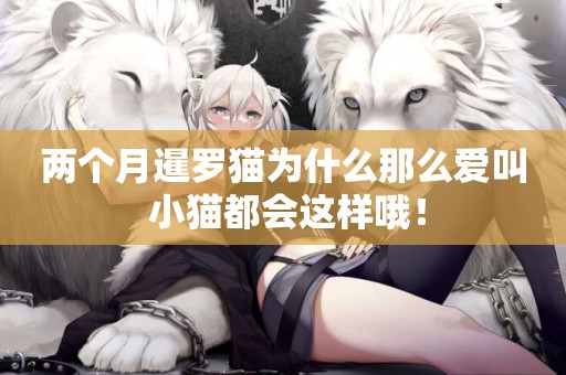兩個月暹羅貓為什么那么愛叫 小貓都會這樣哦！